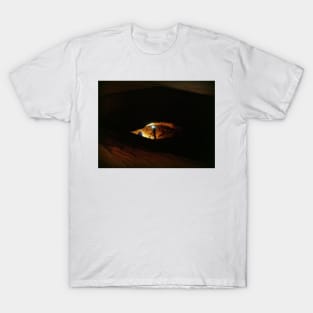 Cat's Eye T-Shirt